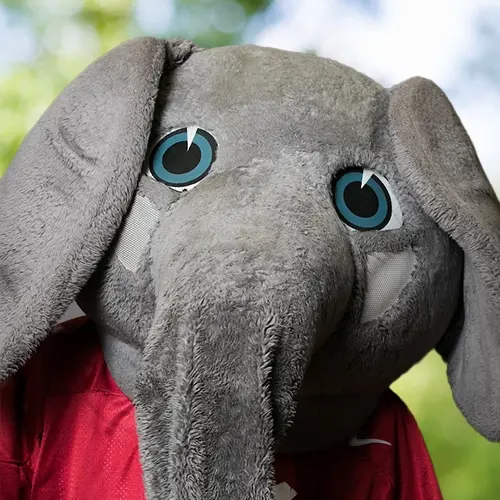 Big Al, no profile picture available